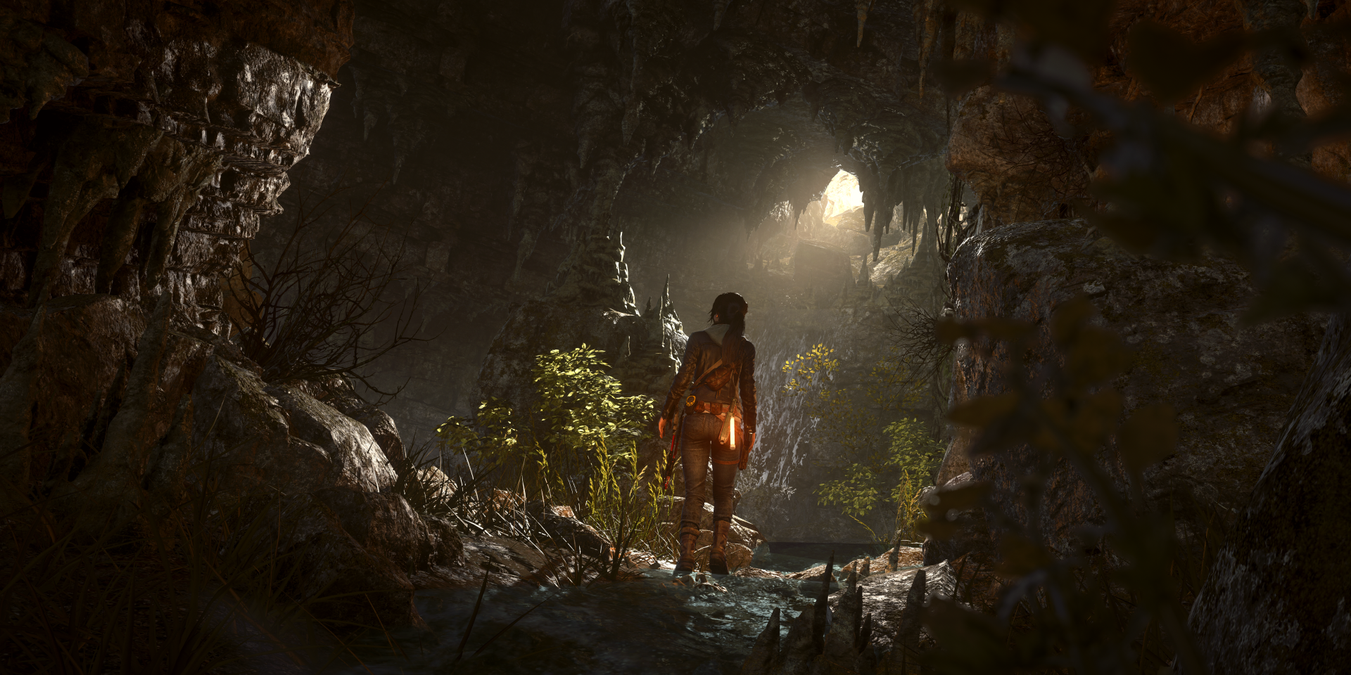 Rise of The Tomb Raider Image